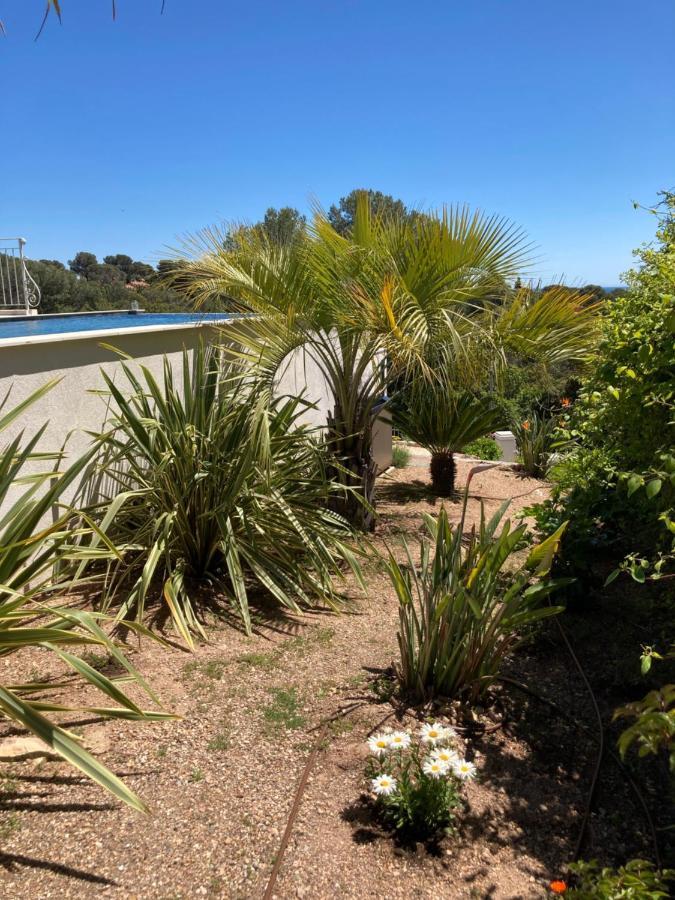 Villa Du Belvedere - La Chambre Mer Saint-Raphaël Eksteriør bilde